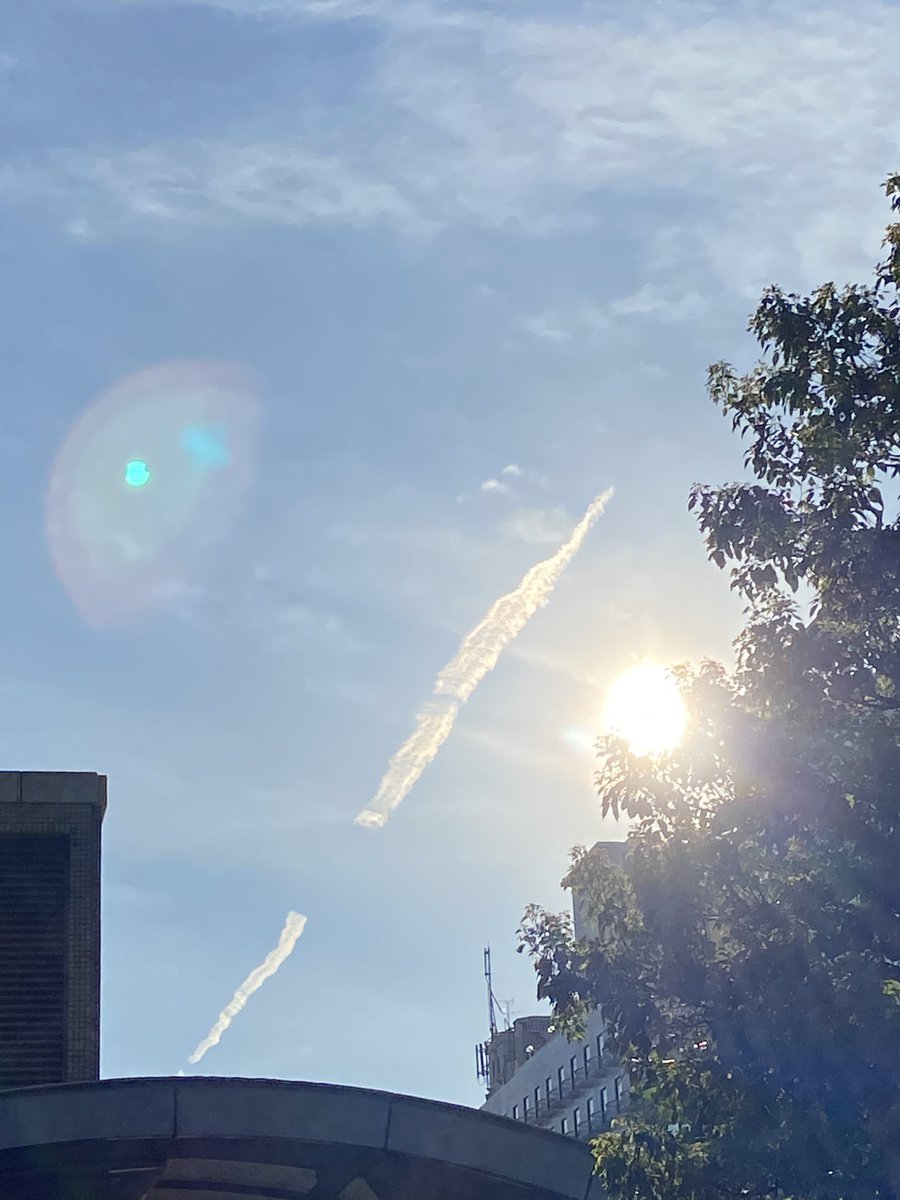 QTips6's tweet image. 