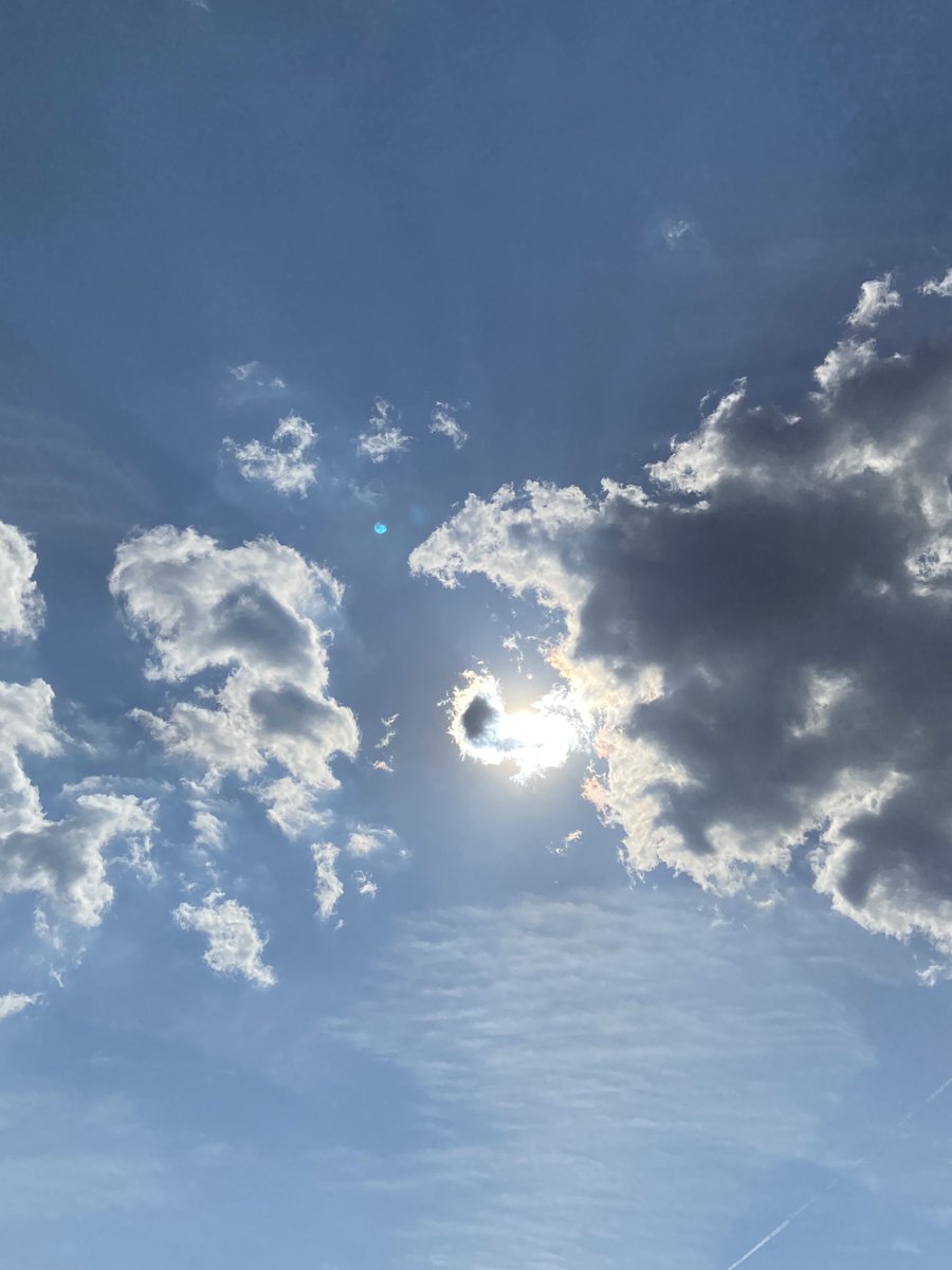 QTips6's tweet image. 