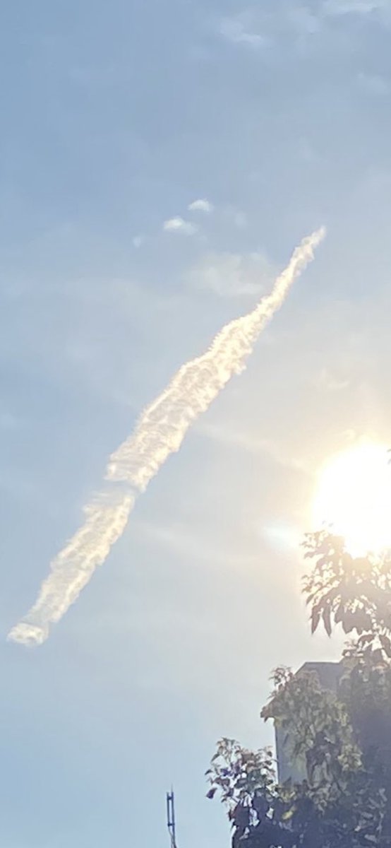 QTips6's tweet image. 