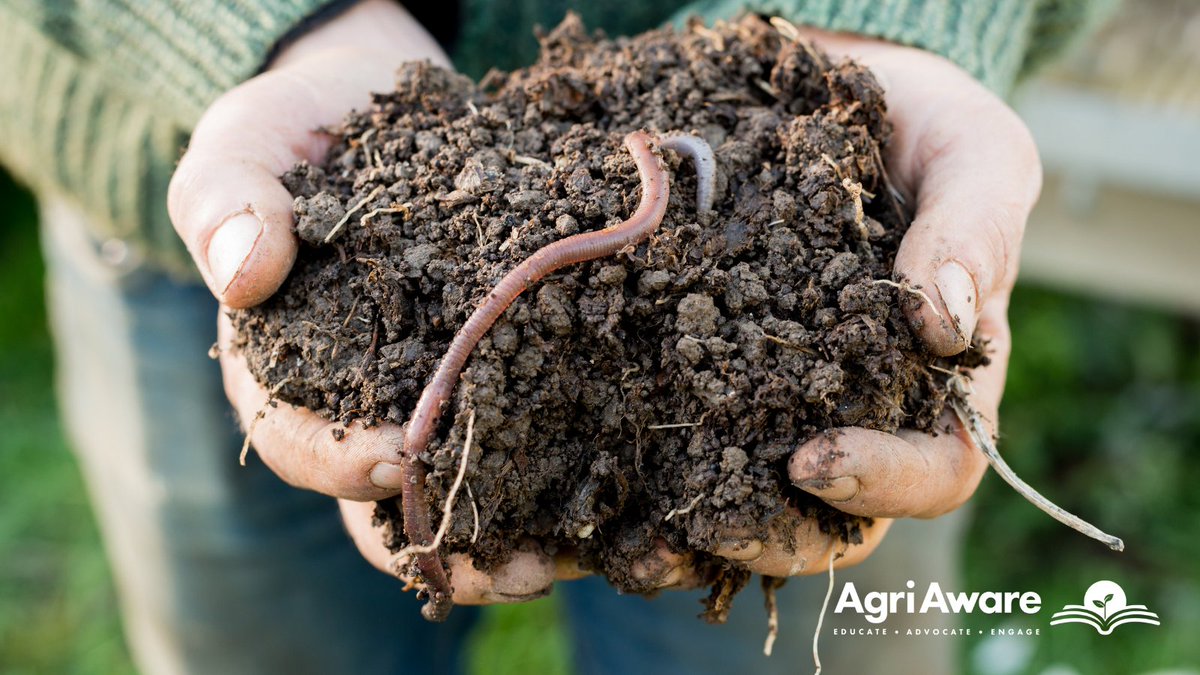 AgriAware's tweet photo. Soil pH is a measure of the acidity or alkalinity of the soil. Most agricultural crops do best with a soil pH of 6-7. 

Too alkaline - the minerals and nutrients are difficult for crops to absorb. 

Too acidic - soil organisms struggle to function. 🪱 https://t.co/OU8B16DKPi
