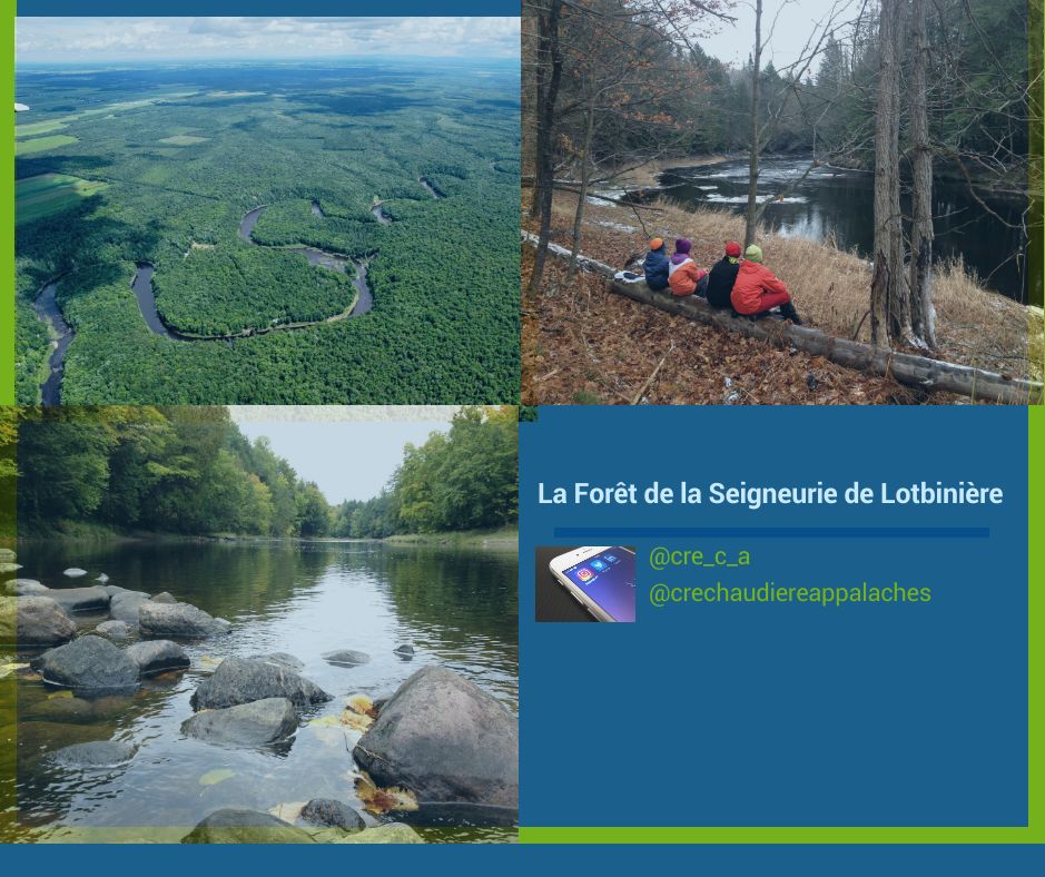 Visiter la #Forêt de la Seigneurie de #Lotbinière, c'est aller à la rencontre de la plus grande concentration de vieilles forêts, peu ou jamais exploitées de toute la région. 

📷 : Canards Illimités Canada (vue aérienne), Louis Cournoyer (rivières)

#Québec
#ChaudièresAppalaches
