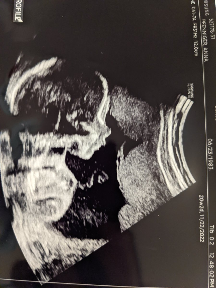 Jahred Adelman tweet media