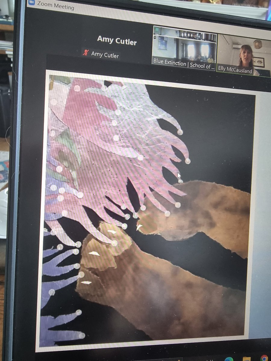 dr amy cutler tweet media