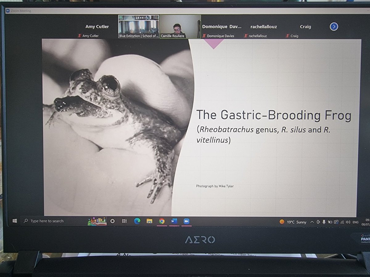 dr amy cutler tweet media