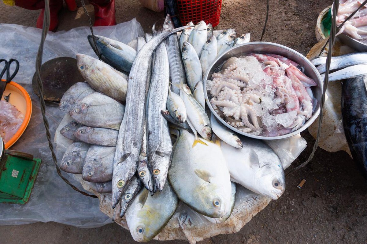 UiB Ocean / SDG Bergen (@sdgbergen) on Twitter photo Today sees launch of new <a href="/IPBES/">ipbes</a> report on biodiversity with small-fisheries expert <a href="/JeppeKolding/">Jeppe Kolding</a> from <a href="/SmallFishFood/">SmallFishFood</a> co-authoring chapter 6 âPolicy options for governing sustainable use of wild speciesâ. #UnitedforBiodiversity <a href="/FAOfish/">Fisheries & Aquaculture</a> <a href="/SustDev/">UN DESA Sustainable Development</a> READ MOREđ bit.ly/3RlQFRQ Today sees launch of new <a href="/IPBES/">ipbes</a> report on biodiversity with small-fisheries expert <a href="/JeppeKolding/">Jeppe Kolding</a> from <a href="/SmallFishFood/">SmallFishFood</a> co-authoring chapter 6 âPolicy options for governing sustainable use of wild speciesâ. #UnitedforBiodiversity <a href="/FAOfish/">Fisheries & Aquaculture</a> <a href="/SustDev/">UN DESA Sustainable Development</a> READ MOREđ bit.ly/3RlQFRQ
