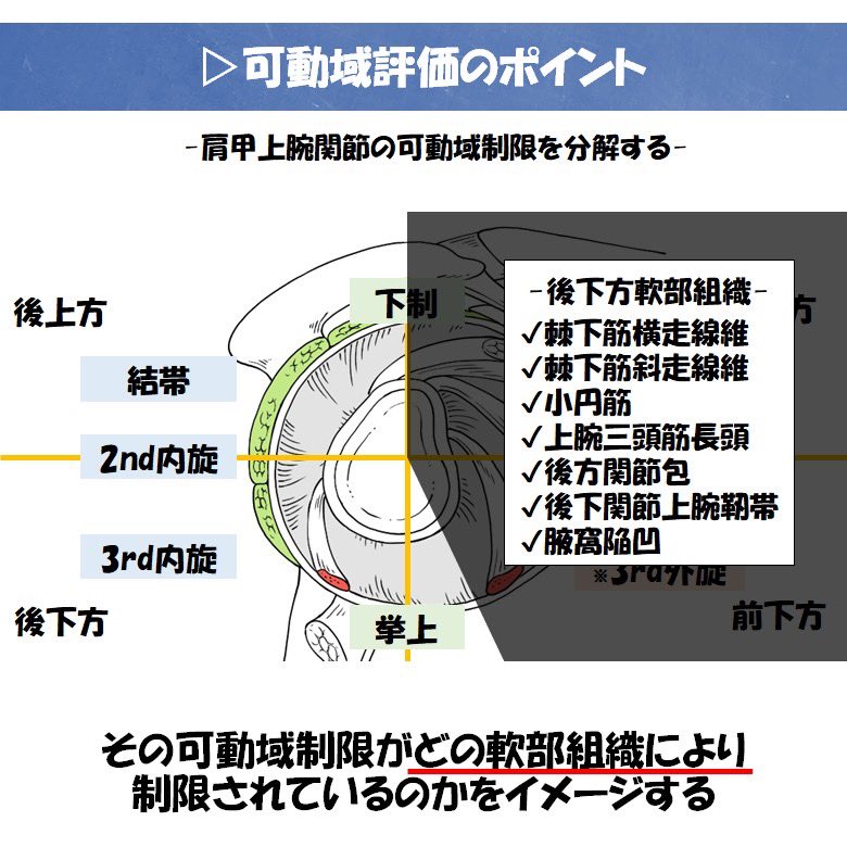 FujikataGoma tweet picture