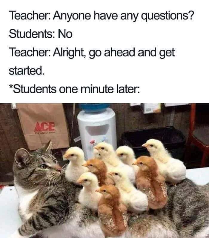 teachergoals's tweet photo. Accurate. 💯 https://t.co/d8ThkNl14T