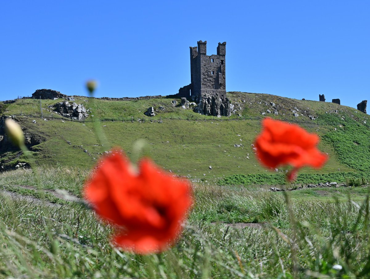 Dave Tonge tweet media