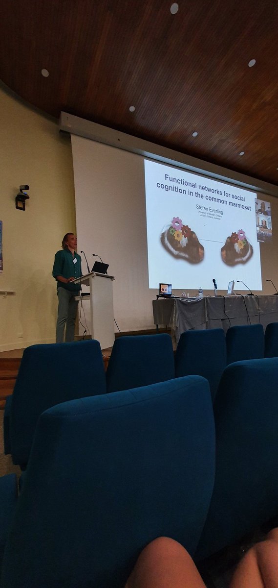 INT Marmobrain tweet media