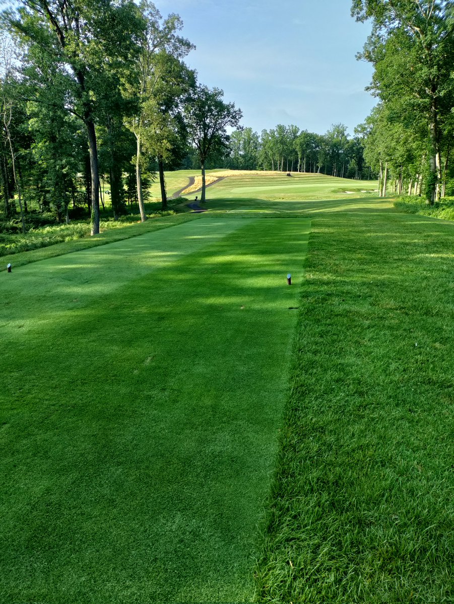 This tee is 150% better after multiple aerations &amp; the following inputs: DCM, Biochar,Renovate,Ecolite