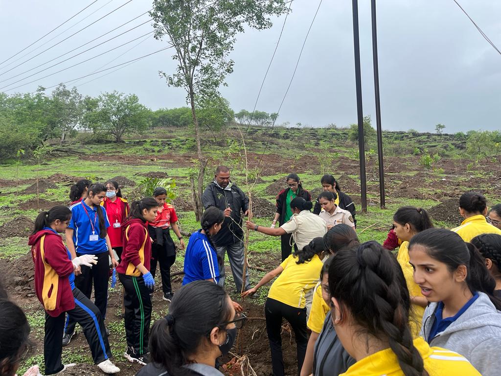 Pune Forest tweet media