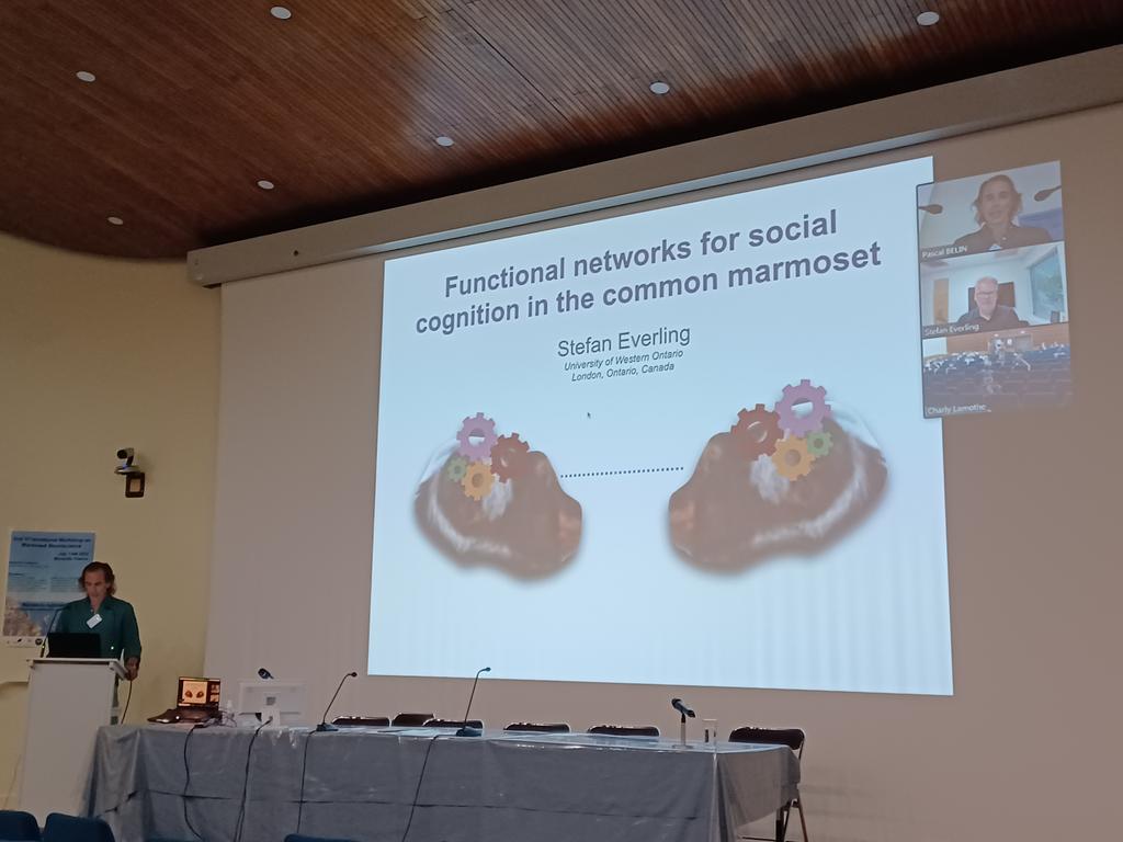 Alessandro Zanini tweet media