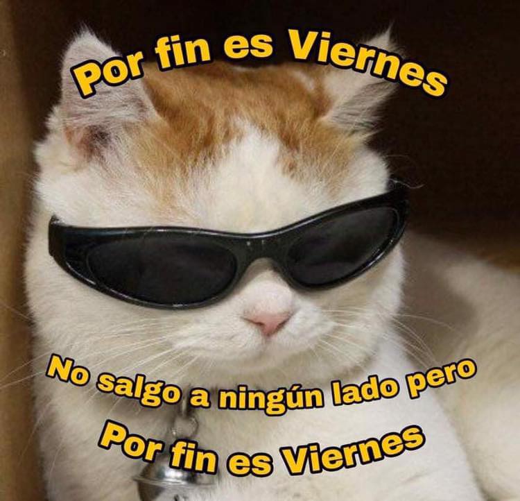Guarromantico_'s tweet photo. https://t.co/5UOPxDabZ0