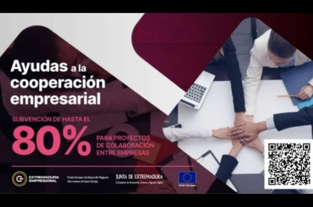 Las ayudas a la cooperación empresarial permanecen abiertas hasta el 21 de julio
La Dirección General de Empresa impulsa estas ayudas para proyectos colaborativos entre empresas que subvencionan el hasta el 80% de los gastos subvencionables.
extremaduraempresarial.es/.../las-ayudas…