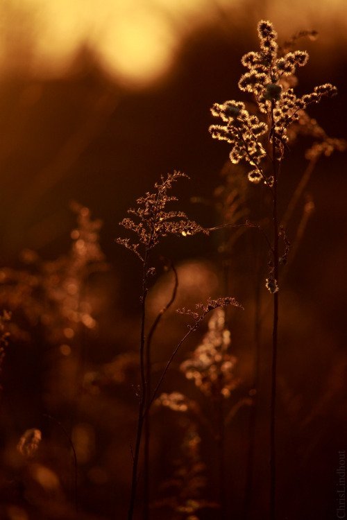 "فَلَمَّا جَنَّ عَلَيْهِ اللَّيْلُ رَأَىٰ كَوْكَبًا ۖ قَالَ هَٰذَا رَبِّي ۖ فَلَمَّا أَفَلَ قَالَ لَا أُحِبُّ الْآفِلِينَ"