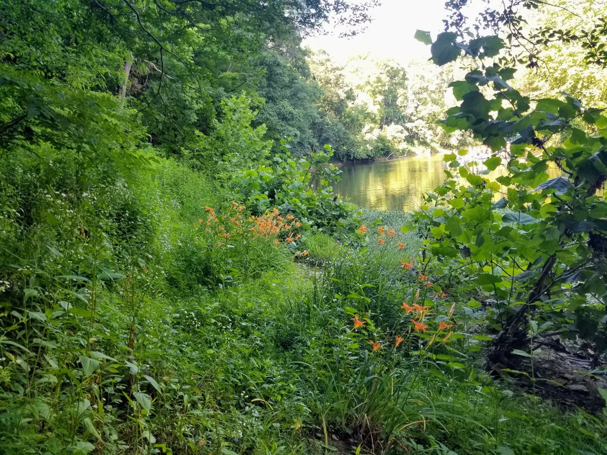 beshortrunultra's tweet photo. #seeonmyrun 

🧡🌼🧡🌼🧡🌼 https://t.co/5jfHelVi8v