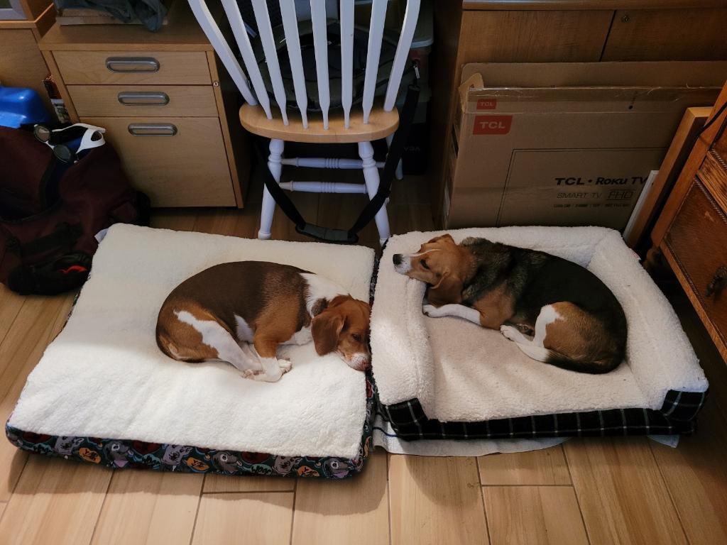 We gots two beds now