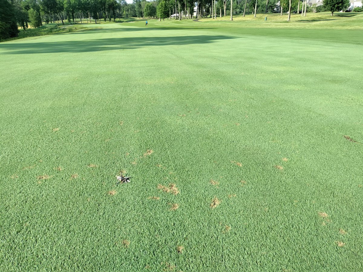 What is your $$dollar spot$$ threshold?