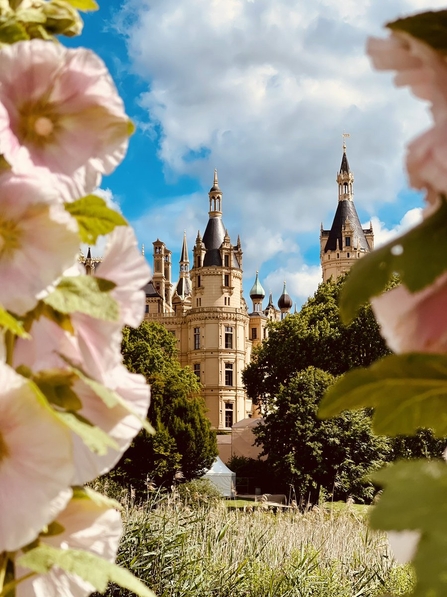 Mein #wowdw - Schwerin als außerschulischen Lernort kann ich klar empfehlen. Märchenschloss, See, Stadt, Platz für Aktivitäten, Überschaubarkeit …
Einfach wunderbar! Glückliche Klasse bei bestem Wetter ☀️🍀💖. Das machen wir wieder.
#twlz #twlz_bb 
@wulff_wulff <a href="/Bs06Hamburg/">BS06 Hamburg - Chemie, Biologie, Pharmazie, Agrar</a>