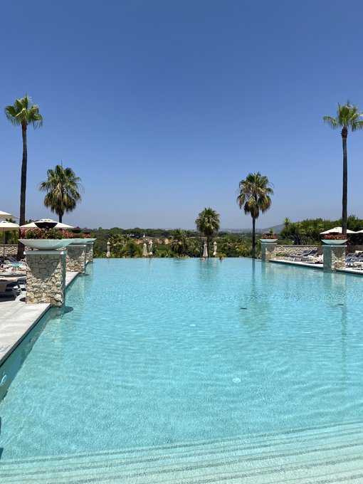 livin a wild life https://t.co/xp443reBZ6