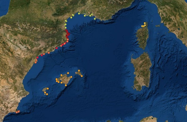 CRAI Biblioteca de Biologia - UB (@craibiologia) on Twitter photo 🌊Conèixer i protegir la biodiversitat marina a Catalunya amb telemetria acústica i ciència ciutadana
👉Notícia <a href="/UniBarcelona/">Universitat de Barcelona</a>: bit.ly/3yPt8Bz 🌊Conèixer i protegir la biodiversitat marina a Catalunya amb telemetria acústica i ciència ciutadana
👉Notícia <a href="/UniBarcelona/">Universitat de Barcelona</a>: bit.ly/3yPt8Bz