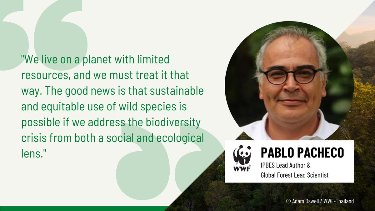 The biodiversity crisis is one of the most urgent problems for both the environment and the people that inhabit it. 

@IPBES #SustainableUse Assessment highlights the importance of creating practical solutions to mitigate further degradation of our planet. 🌎

Key takeaways. ⬇️