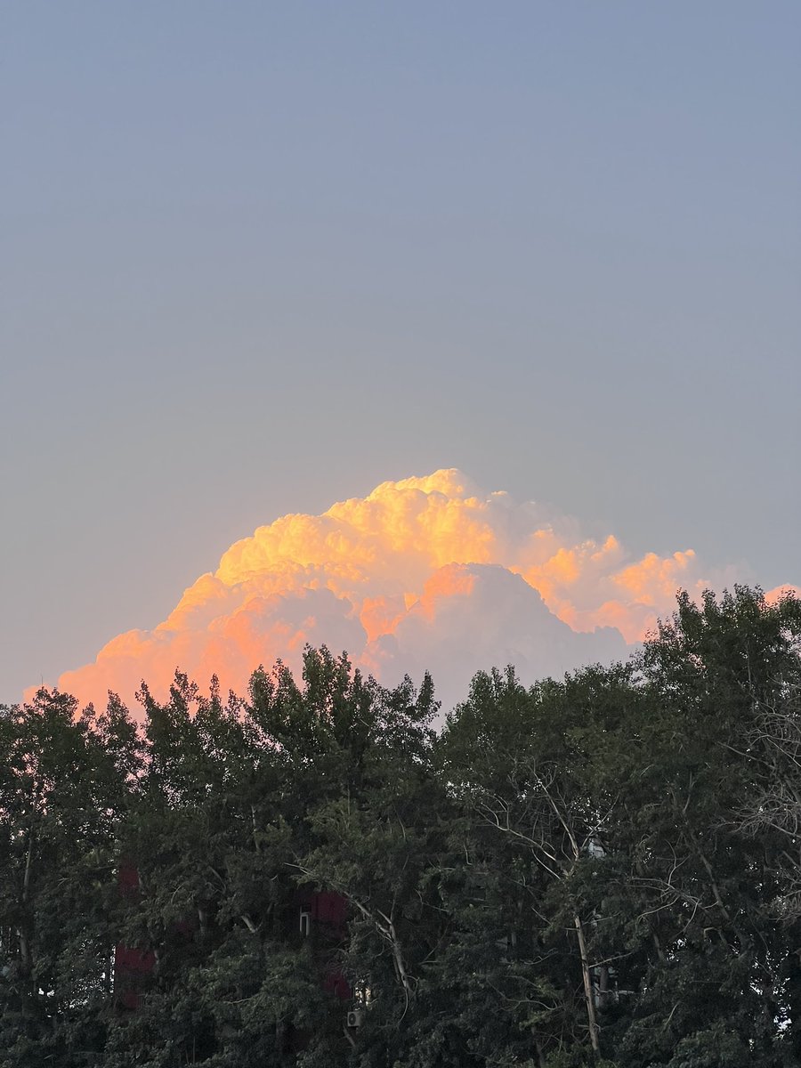 我预判了我的预判
下不为例！玄学不能瞎用
毕竟过程指标＞结果指标！