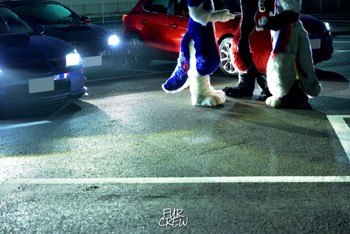 grande_8823's tweet photo. 真夜中の集会
#FursuitEveryday
#FURCREW https://t.co/JJndcEwtlh