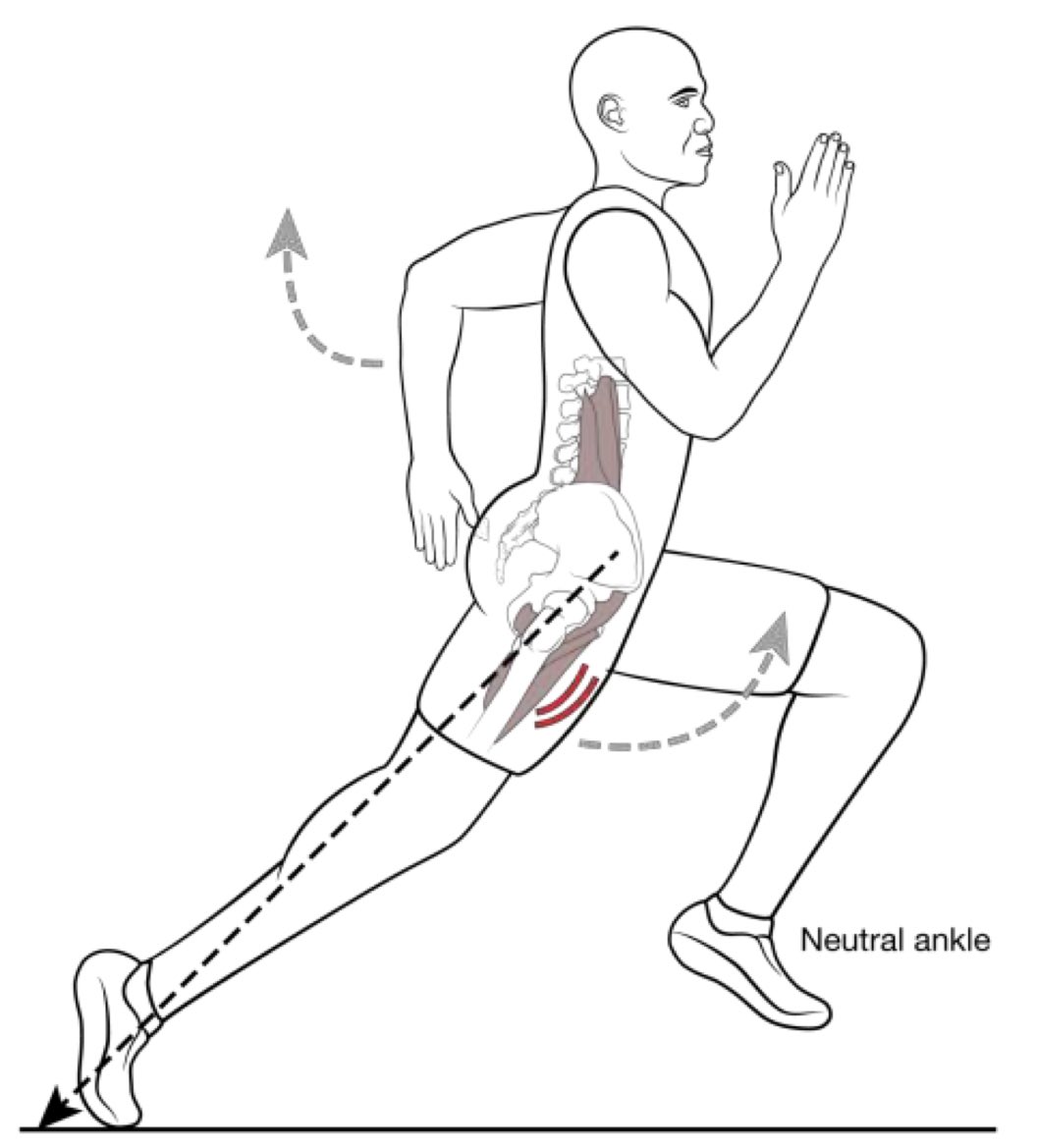 <a href="/MegaSoccerDad/">Soccer Dad 🔥</a> Trail leg needs to snap forward at toe-off, not linger behind kicking the butt and “showing sole to Jesus”. Sprinters want to be BIG IN THE FRONT, SHORT IN THE BACK. 

Big in front ⬇️