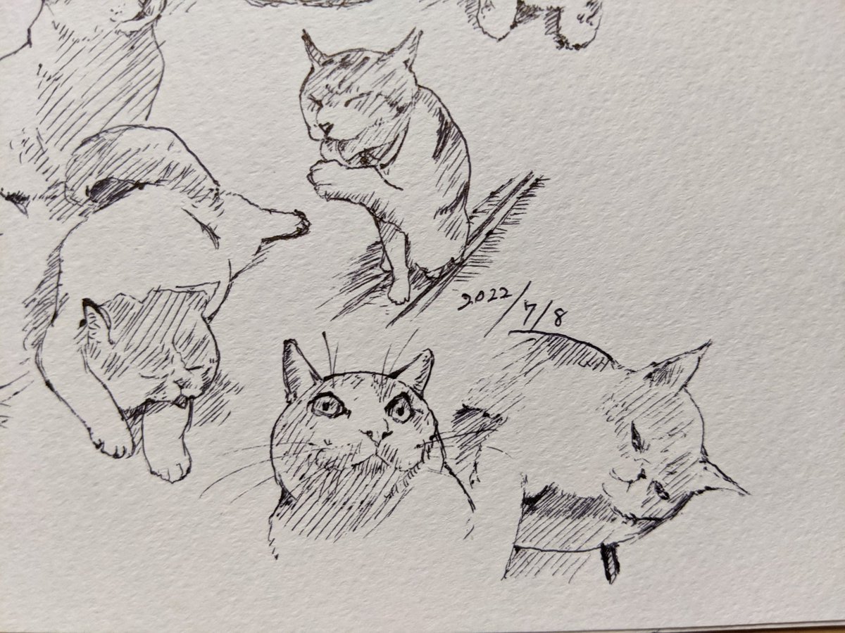 命… カキカキ。 