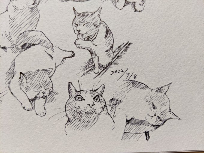 命… カキカキ。 