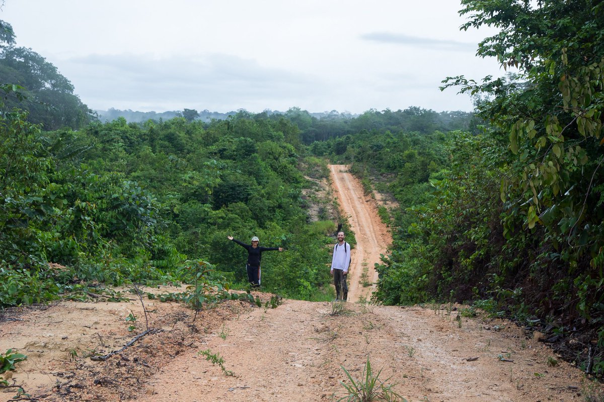 marielle_smith1's tweet image. Interested in tropical forests &amp;amp; remote sensing? Want to research how forests are being impacted by human activities? Fully funded MSc starting in Oct @BangorSNS to work with me &amp;amp; @LMarkesteijn
! Open to UK &amp;amp; international applicants. Pls contact us/RT! m-n-smith.github.io/MastersOpp/