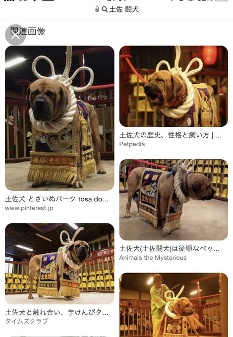 Populer Tweet Ler松吉 1 Whotwi Grafiksel Twitter Analizi