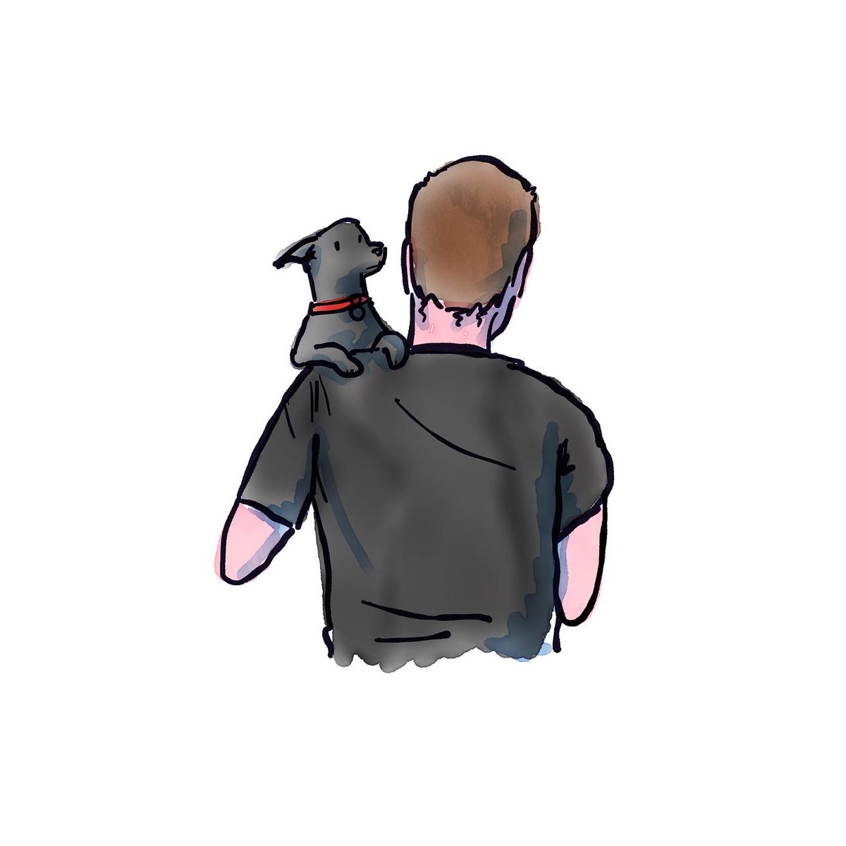 DOG WAT I SAW tweet media