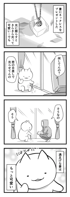 日々のつぶやき。
可愛い人。 