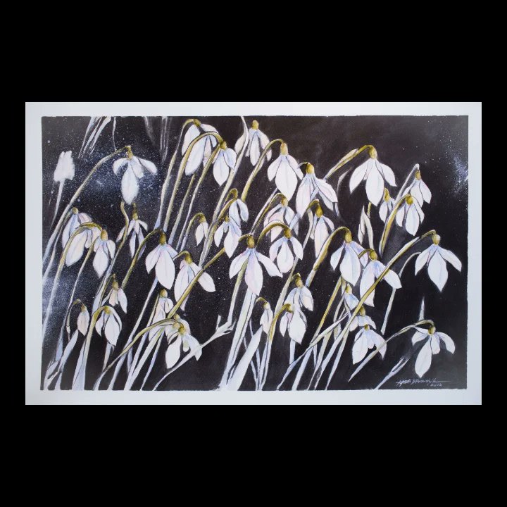 agatadprawdzik's tweet photo. Another one of my floral #watercolor painting from the 'Seasonal Whisper' Series,  2022.

#florals #watercolorpainting #watercolor #aquarelle #aquarelleart #aquarellepainting #akwarele #flowerspainting https://t.co/PoMWTZqcN2