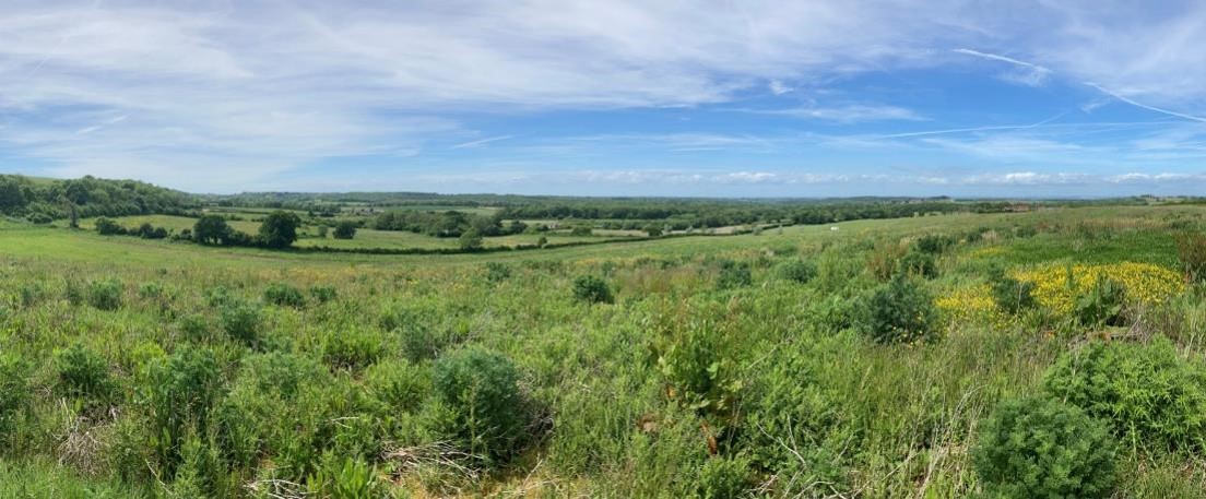 Webinar Event for Landholders in the Test and Itchen Catchment - Monday 11th July - Learn about the new Solent Nutrient Market Pilot and opportunities for Nature-based Projects: eventbrite.co.uk/e/solent-nutri… #nutrientneutrality #naturebasedsolutions <a href="/HantsIWWildlife/">Hampshire & Isle of Wight Wildlife Trust</a>