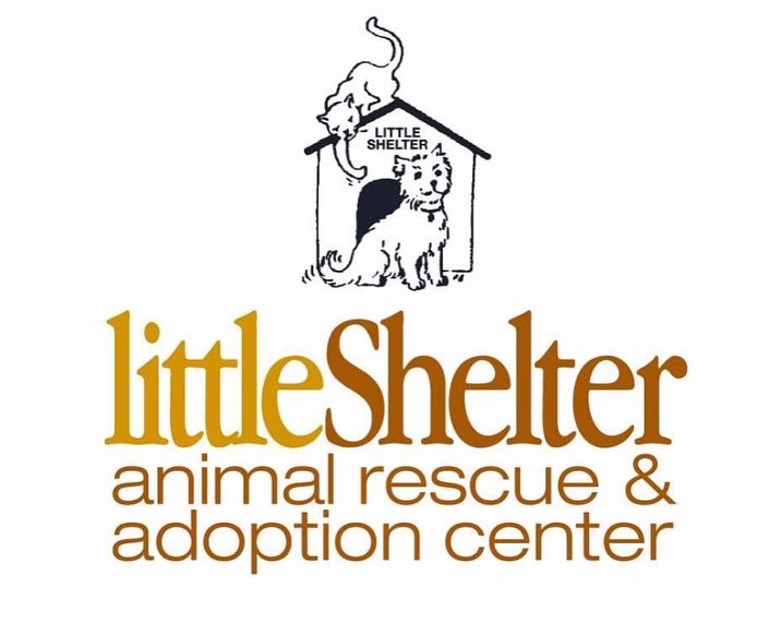 Tune in to @news12li this morning, Friday to see Paws & Pals with host @ElisaDiStefano and some adoptable Little Shelter cuties!!! #news12li #pawsandpals #littleshelteranimalrescue #savinglives #since1927 #huntington #longilsland #nyc