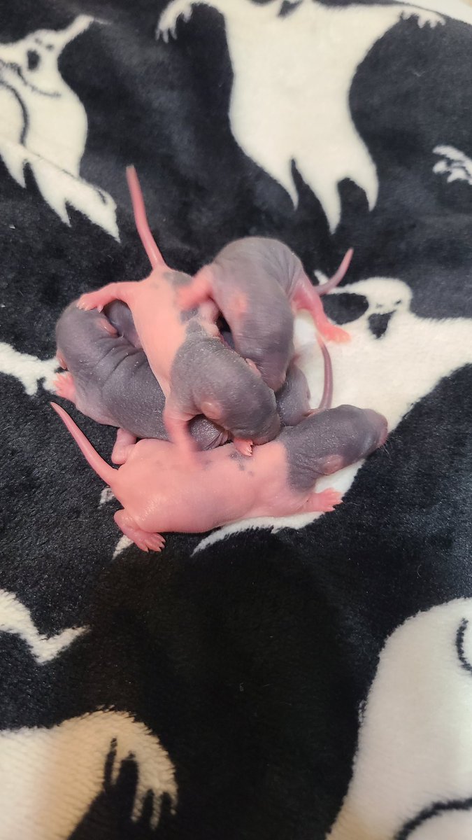 more baby pictures!!