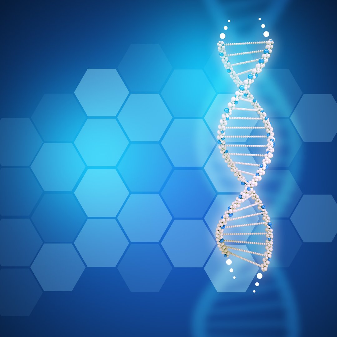 Alliedgrp's tweet photo. A new method to assess on a large scale the three-dimensional structure of the human genome, or how the genome folds has been developed. The genome is the complete set of genetic instructions, DNA or RNA, enabling an organism to function.

Read More: https://t.co/UlnXAqOLbJ https://t.co/EgtiWRdpYQ