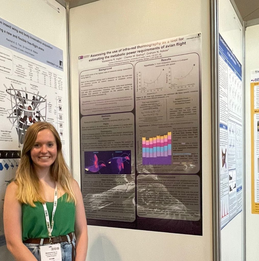 MaddieInglis's tweet photo. Delighted to have been awarded joint first place for the Robert McNeill Alexander poster prize at #SEB2022 #SEBConference in #openbiomechanics 🎉🐦 https://t.co/VF3L9FMQTZ