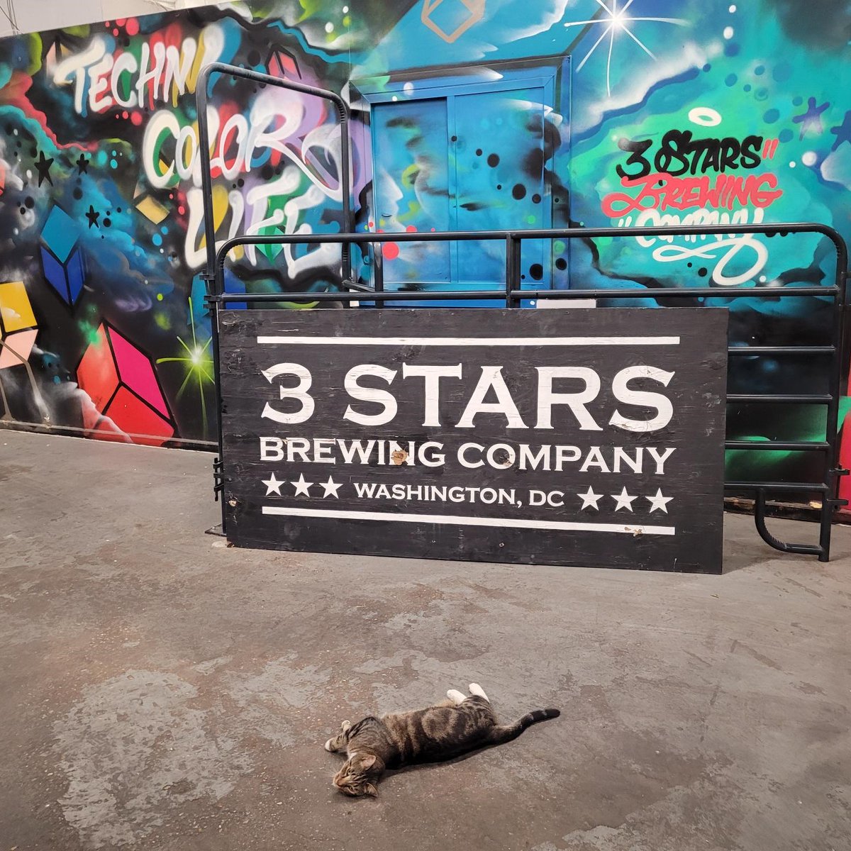 3 Stars Brewing Co. tweet media