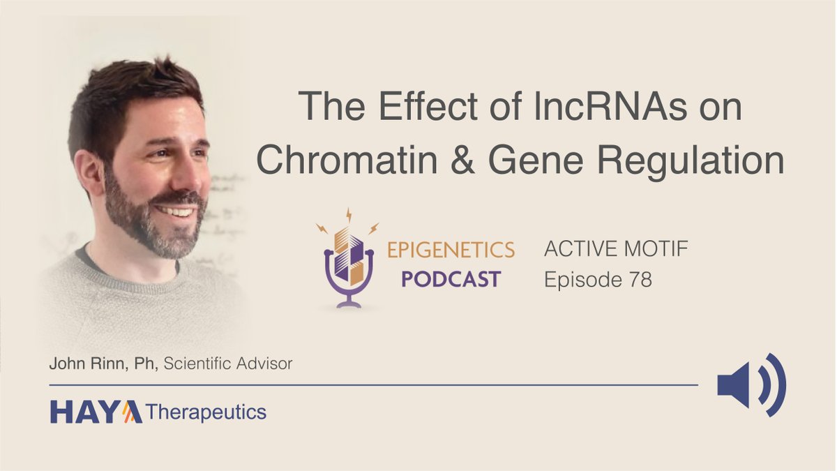 Want to know more about HAYA's work on transformative therapies targeting #lncRNA? Join HAYA Scientific Advisor &  @CUSystem Professor John Rinn (@Noncodarnia) for a chat with @epigenetics_pod about #lncRNAs in gene expression & nuclear organization. activemotif.podbean.com/e/the-effect-o…