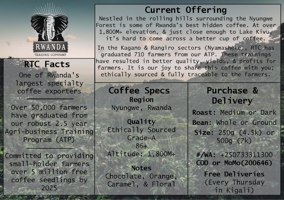 RwandaTradingCo's tweet photo. Need the best  ☕️ ☕️ ☕️ at your home or office…it’s now easier than ever. WhatsApp or call 0733311300 and coffee will be  at your doorstep. Delivery every Thursday afternoon! @JJndayis https://t.co/SwqeuYpobc