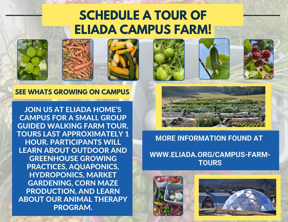 Did you know Eliada has a working campus farm? Come see what's growing by scheduling a farm tour today! 
eliada.org/campus-farm-to…