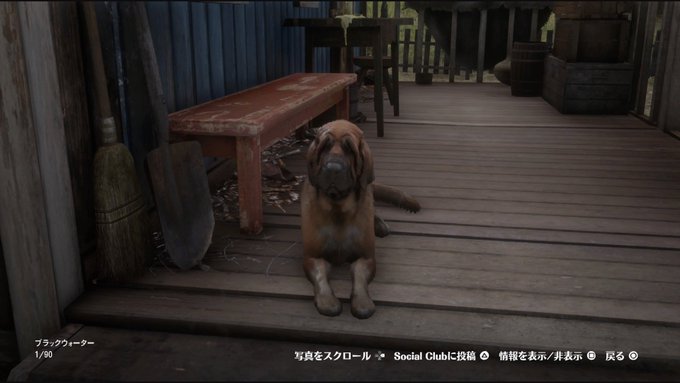 Liste Des Tweets一ノ瀬瑠奈 爆発指揮官 A Donne Le Hash Rdr2 1 Whotwi Analyse Graphique Twitter