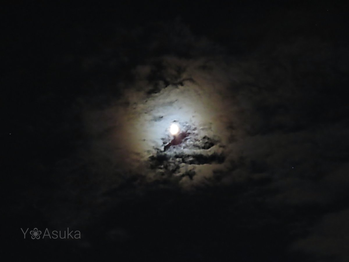 yumeasutw's tweet photo. 今宵も月が綺麗です🌔✨
夜の帳が降りる頃🌃
南の空高く🌔 #十日月 (月齢9.3)が
街を見下ろしています💫
西から流れ来る #高積雲 が
月を横切るとほんのり虹色に🏳️🌈✨
#夜空 #宙の名前
#雲の教室
#天気の図鑑 #雲友
#月 #moon
#月光環
#地球照
#a2022 #a0708 #a202207 #a2022072 https://t.co/lg6VaL0499