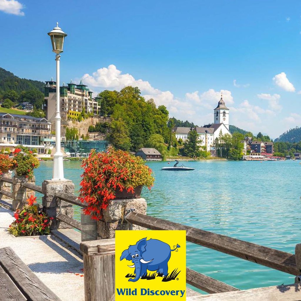 Discover Austria, from its magnificent architecture and impressive museums to its musical history and art scene with Wild Discovery.

For more details, call 01 56 56 46 and one of our Destination Specialists will be happy to assist you.

#wilddiscovery #austria #travel #luxury