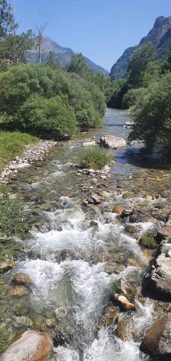 PuntoPirineos's tweet photo. Hace un año se recuperó el antiguo #Caminodesantiago entre Aragón Cataluña y Francia.
De Saint Bertrand de Comminges al Valle de Arán y Aragón por término #Montanuy hasta #Obarra y hasta ramal de Cataluña en Berbegal. https://t.co/JwmL5B2hIu
#caminodelnorte https://t.co/cgFuI7UYkT