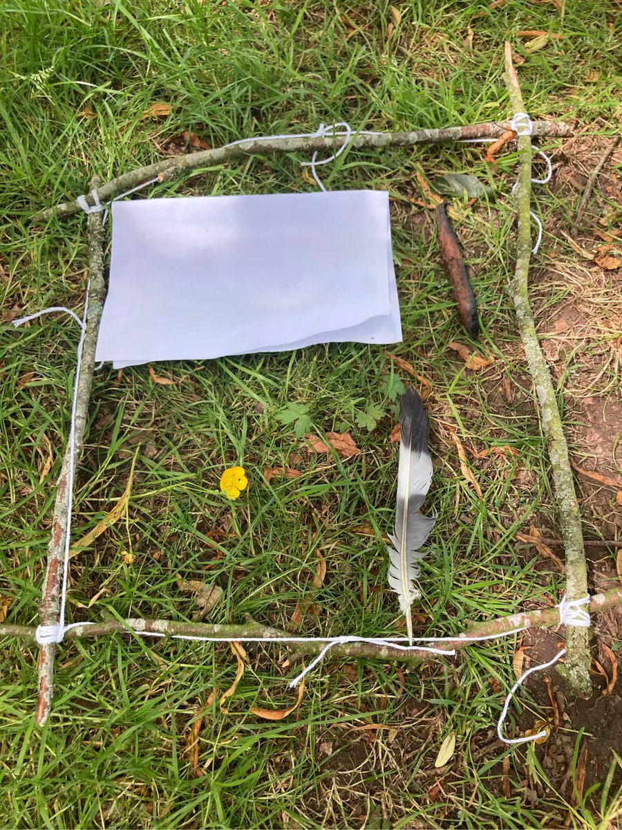 Creating viewfinders with sticks and clove hitch knots, finding objects that represent our feelings to share with the group🍂
#outdoorlearning
